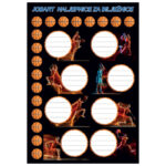 Etikete školske 8/1x5 Sport 60535 sortirano - Slika 4