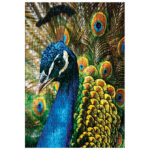 Puzzle 250 kom Colorful nature 1 Peacock Interdruk - Slika 3