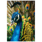 Puzzle 250 kom Colorful nature 1 Peacock Interdruk - Slika 4