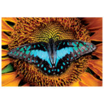 Puzzle 250 kom Colorful nature 2 Butterfly Interdruk - Slika 4