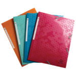 Fascikl klapa s gumicom pp A4 Maia Exacompta 55210E sortirano!!