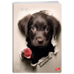 Teka meki uvez A4 crte 40+2L 80g Peekaboo pets Elisa - Slika 2