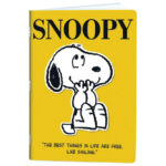 Teka meki uvez A4 karo 40L 80g Snoopy Mar Mar - Slika 3