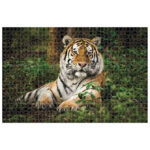 Puzzle 1000 kom Animal planet Tigar Diakakis 000570698 - Slika 2