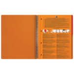 Blok kolegij A4 crte 80L perforacija+4rupe Activebook Oxford 100102994 - Slika 2