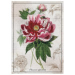 Puzzle 1000 kom tuba Botanic Peony Interdruk - Slika 3