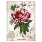 Puzzle 1000 kom tuba Botanic Peony Interdruk - Slika 4
